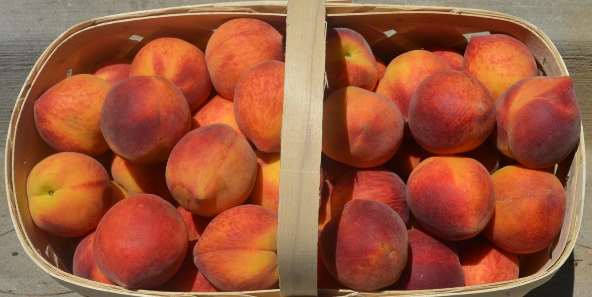 Peach Crop Faces Nearly 80 Percent Loss This Year WABE