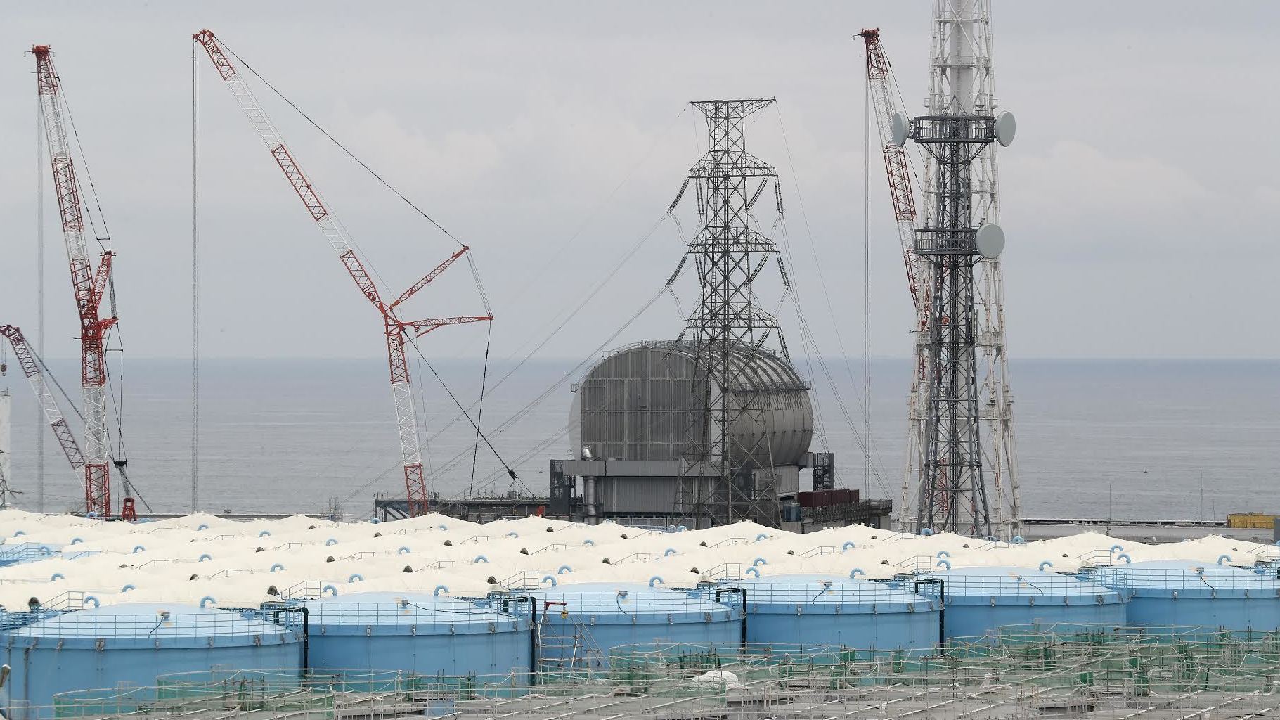 Executives In Fukushima Nuclear Disaster Deserve 5 Year Prison Terms Prosecutors Say Wabe