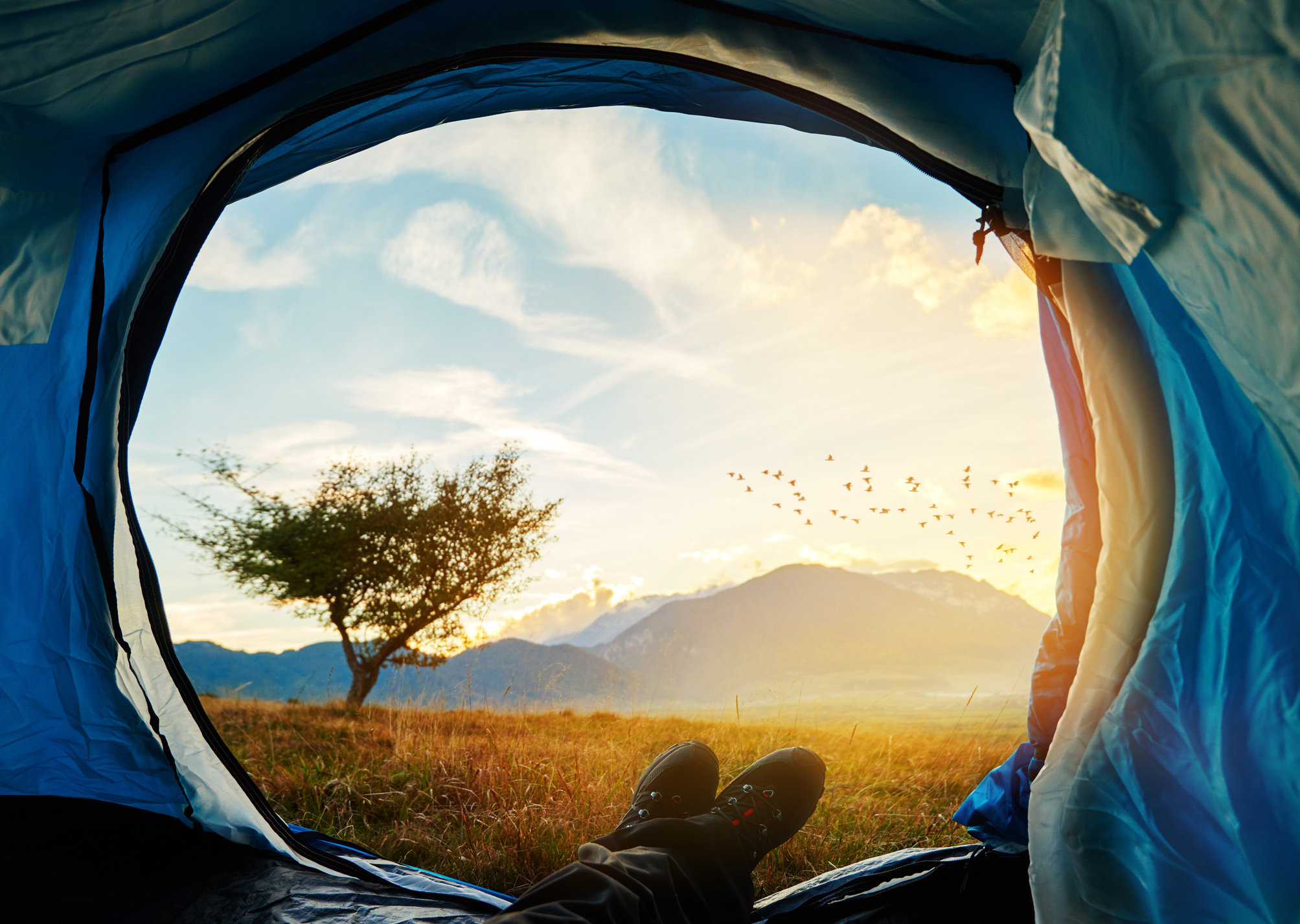 Глазами фотографа. Inside the Tent at Night. Relaxation Tent. Person inside Camping Tent looking out. Those who Live in Tents.