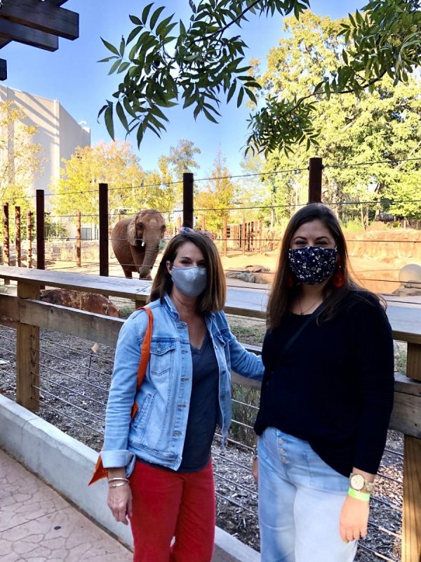 “People have come and enjoyed being outdoors and in a socially distanced fashion, wearing masks, and have felt quite safe," Zoo Atlanta President and CEO Raymond King said. (Courtesy of Zoo Atlanta)