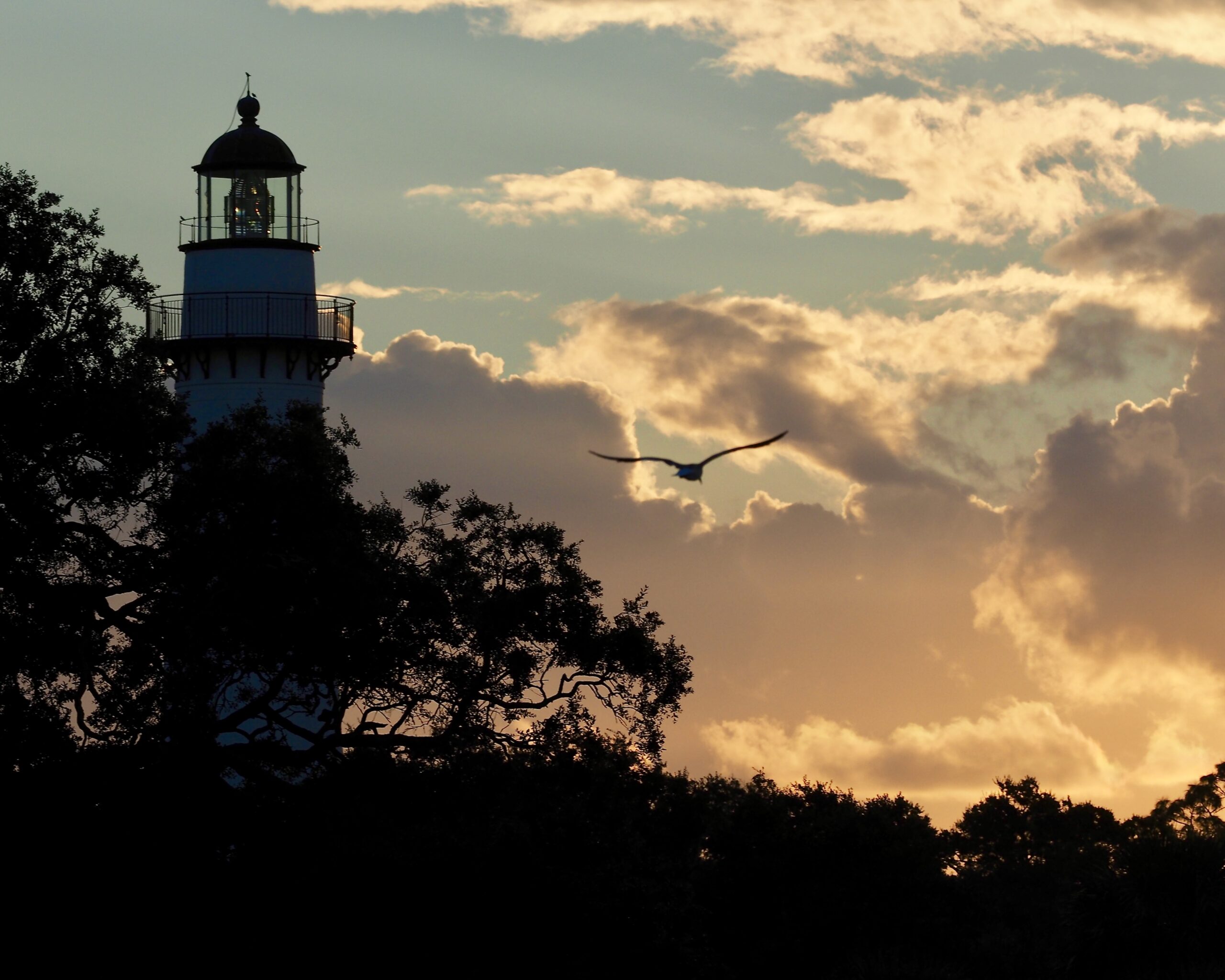 Georgia island’s lighthouse celebrating 150th anniversary – WABE