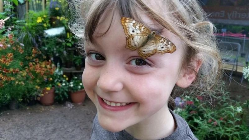 Child with butterfly on their head