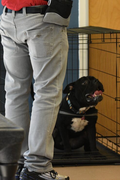 Person in front of cage with dog.