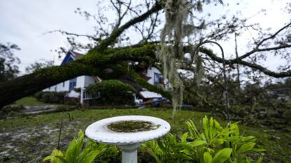 An oak tree landed on an old home after a hurricane passed through it.