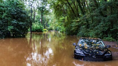 A partially submerged vehicle in a pool of brown water, surrounded by trees.