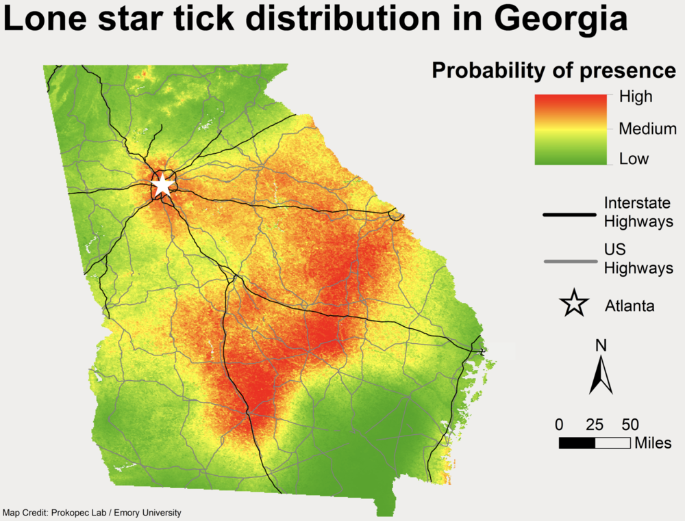 a map of Georgia shaded green, yellow, and red depending on the likelihood of the lonestar tick appearing in an area