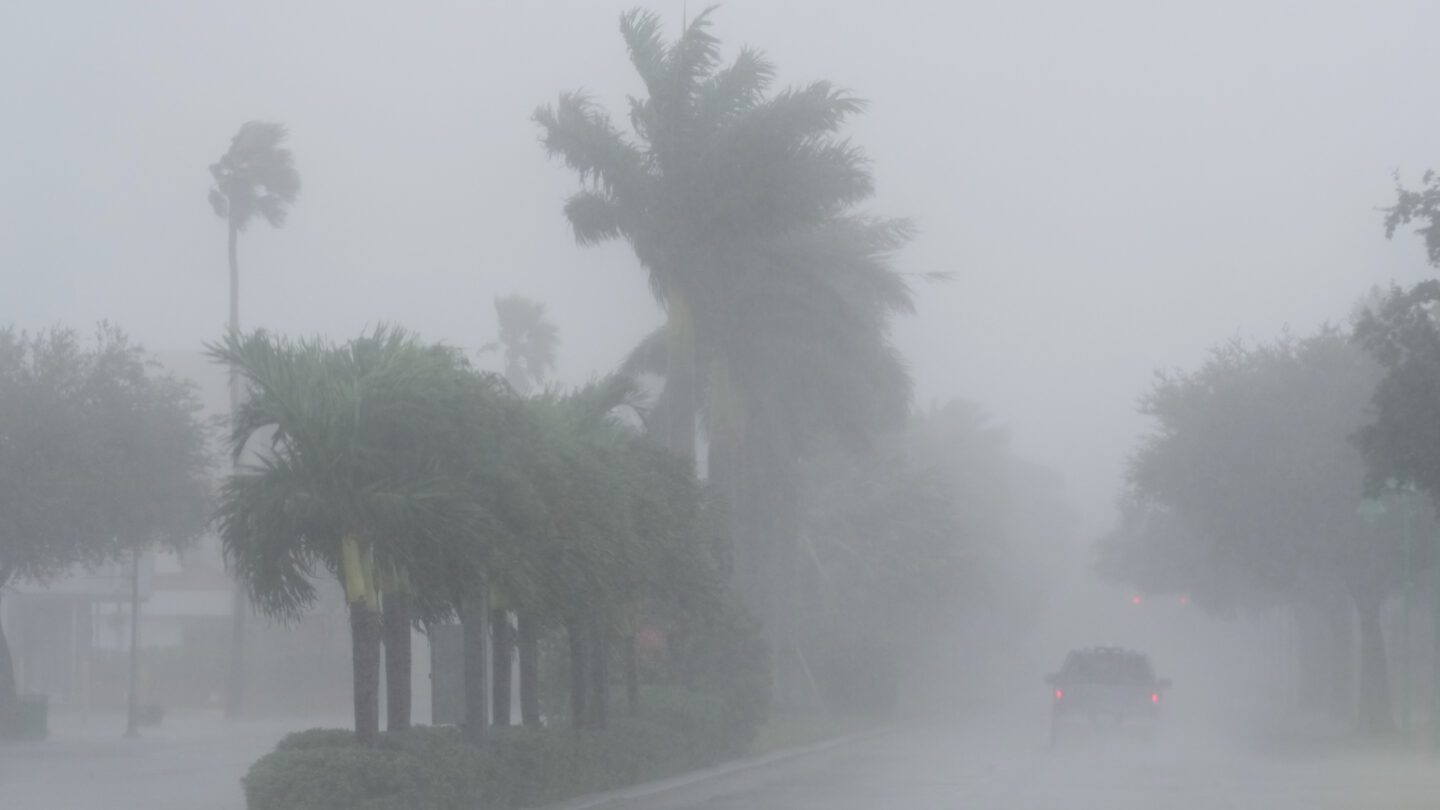 A strong gust of rain and wind hits several palm trees.